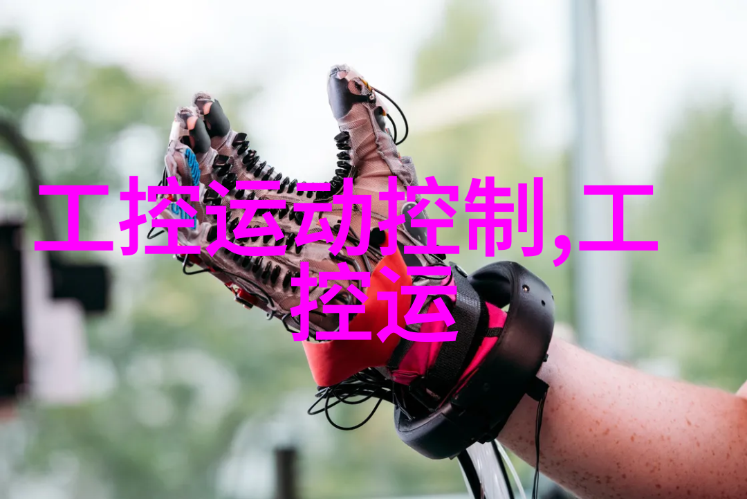 吉林省党政代表团领导莅临中控考察
