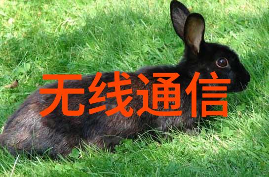 走向云原生需要知道的6个基本内容