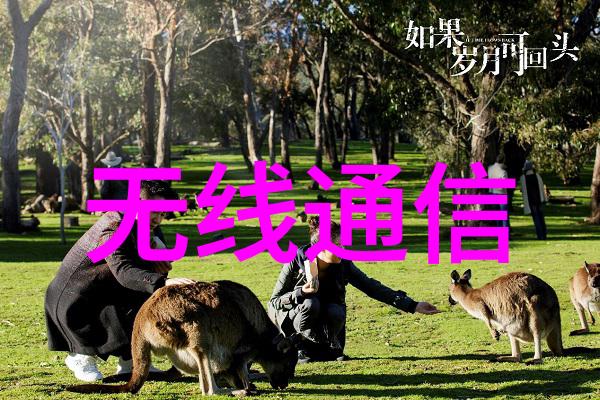 嵌入式技术在物联网中的应用解读