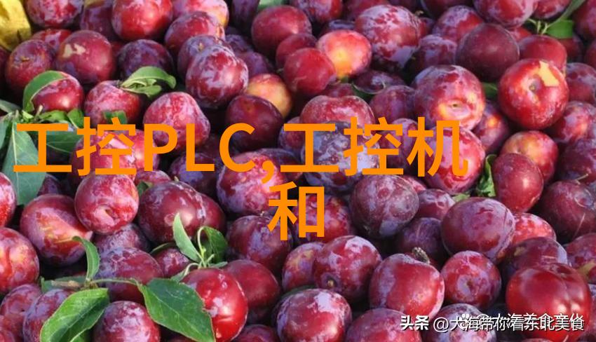 高速响应精稳传动MS6S-130系列低惯量伺服电机重磅来袭