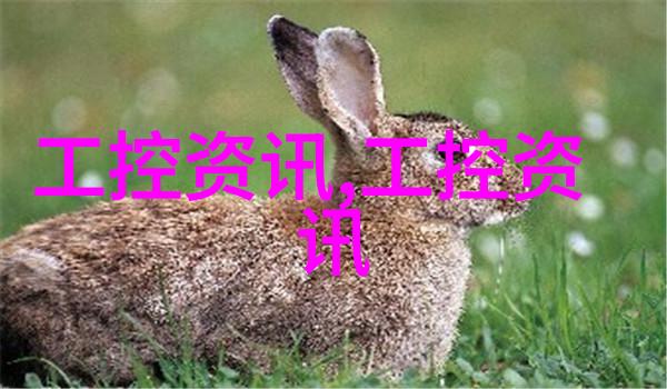 新版道路运输达标车辆核查规范下月实施