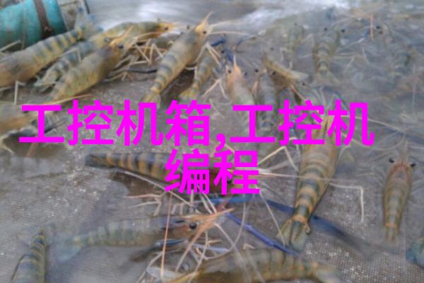 广州锐新触控科技有限公司的成长历程