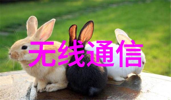 华为5G的冰与火之歌